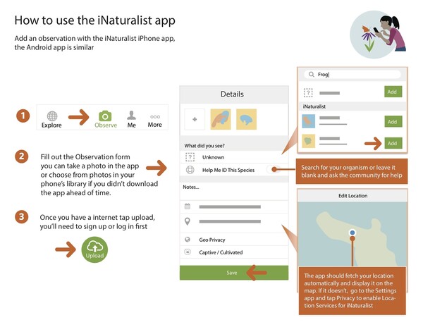 Το iNaturalist είναι το Shazam του φυσικού κόσμου