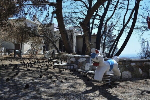 Ν.Δ: Ακόμη δεν δόθηκαν στη δημοσιότητα τα ονόματα των νεκρών