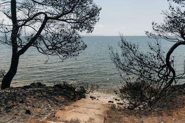 Στα δύο ξενοδοχεία που φιλοξενούν τους πυρόπληκτους