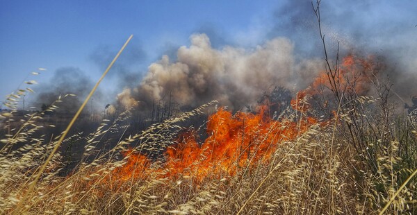 Μεγάλη φωτιά στο Λασίθι της Κρήτης