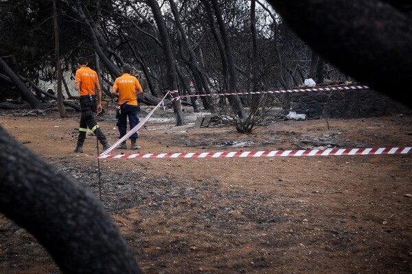 Νέα δεδομένα για τα αίτια της πυρκαγιάς - Υπήρξε καύση ξύλων πριν την τραγωδία