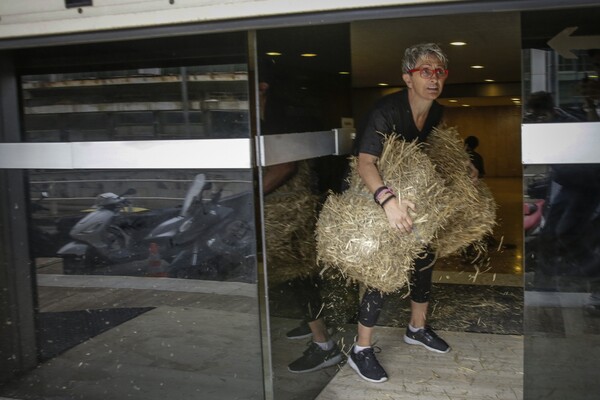 Ακτιβιστές πέταξαν σανό στα γραφεία των ΑΝΕΛ - ΦΩΤΟΓΡΑΦΙΕΣ