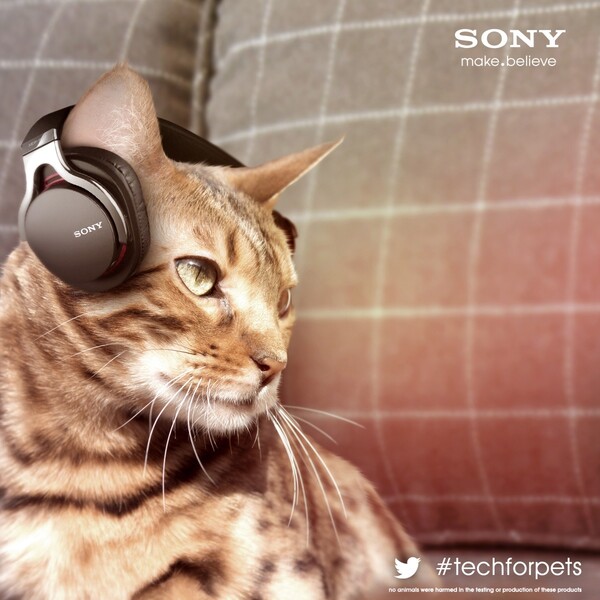 Ακουστικά για γάτες παρουσίασε η SONY ανήμερα της Πρωταπριλιάς