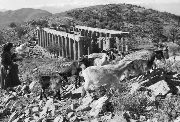 Μια μέρα στον ναό του Επικούριου Απόλλωνα με βροχές και ομίχλες