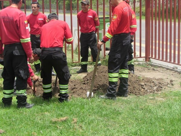 O ηρωικός σκύλος που πέθανε από εξάντληση έχοντας σώσει 7 ανθρώπους από τα χαλάσματα