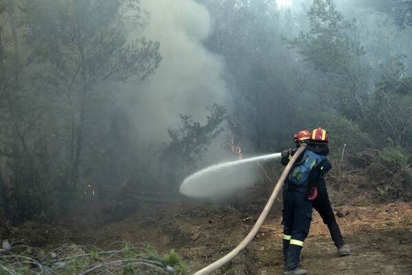 Συναγερμός στην Κέρκυρα - Εκκενώνεται οικισμός λόγω πυρκαγιάς
