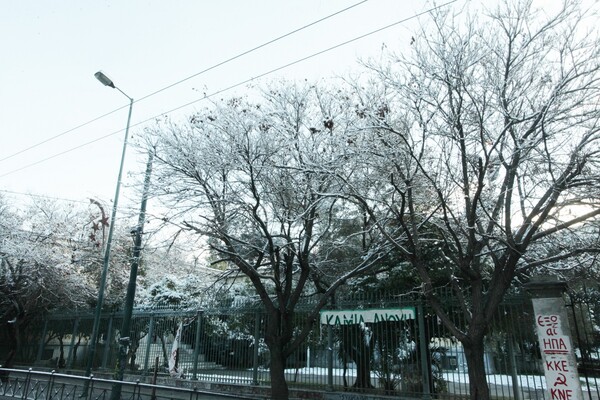 H χιονισμένη Αθήνα σήμερα το πρωί - Το ιστορικό κέντρο της πόλης και μνημεία στα λευκά