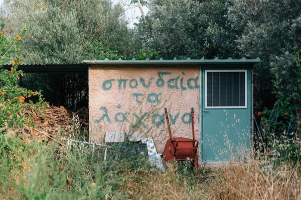 Δυo μέρες στο αγρόκτημα του Γιάννη Μακριδάκη στη Χίο