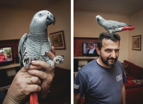 Ο παπαγάλος που άλλαξε τη ζωή μιας οικογένειας