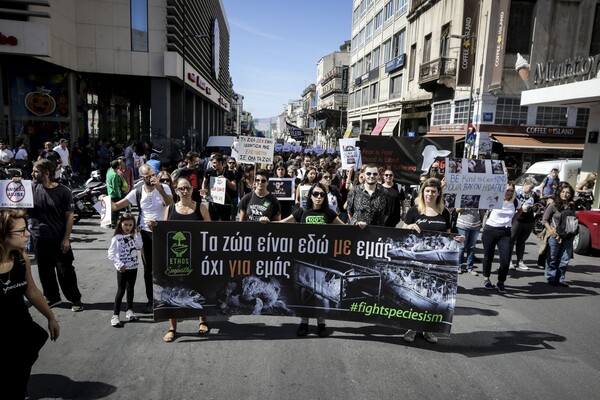 «Εσύ ποιον έφαγες σήμερα;» - Δείτε φωτογραφίες από την πορεία για τα ζώα στην Αθήνα