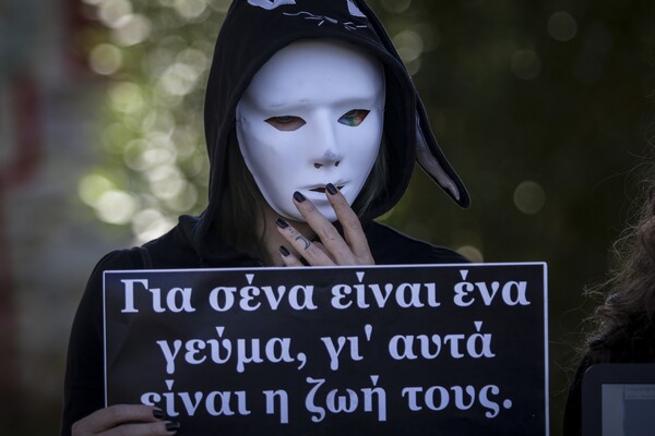 «Εσύ ποιον έφαγες σήμερα;» - Δείτε φωτογραφίες από την πορεία για τα ζώα στην Αθήνα