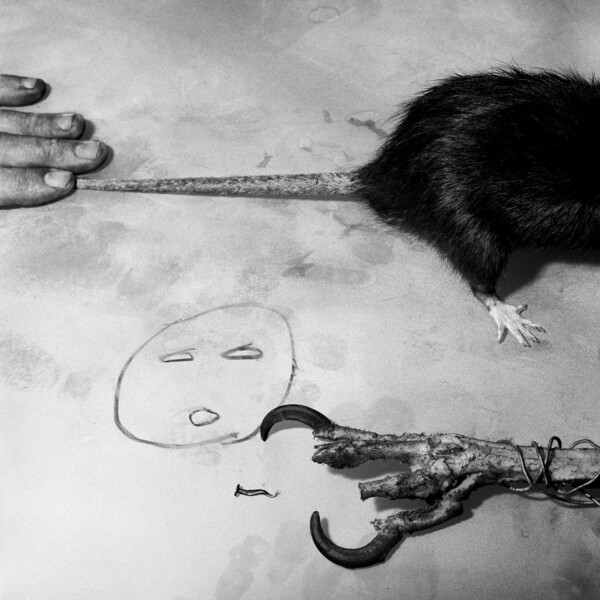 Ο κορυφαίος φωτογράφος Roger Ballen μιλά στο LIFO.gr