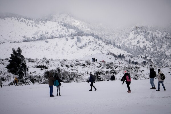 Στα λευκά η Ελλάδα από την επέλαση της Σοφίας - Χιόνια σχεδόν σε όλη τη χώρα