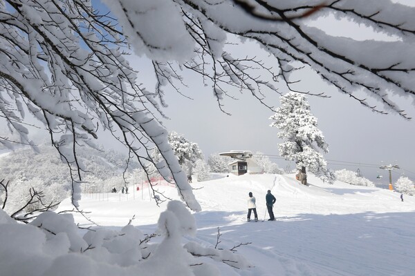 Έξι μαγικές εικόνες από το χιονοδρομικό κέντρο της Βασιλίτσας, χθες