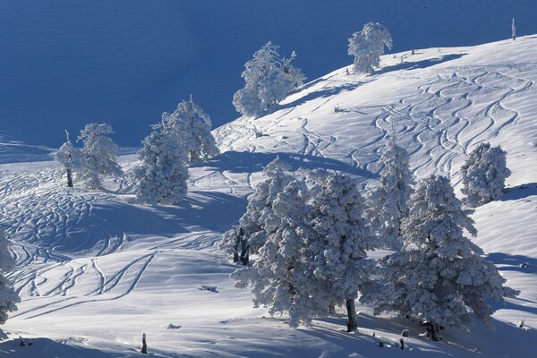 Έξι μαγικές εικόνες από το χιονοδρομικό κέντρο της Βασιλίτσας, χθες