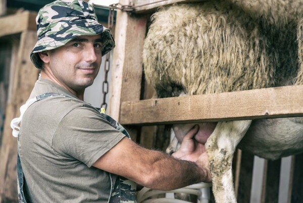 Οι αγρότες από τα Φάρσαλα επέστρεψαν με νέο ημερολόγιο για το 2019