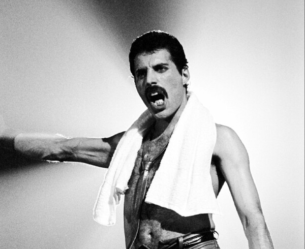 Η νύχτα που ο Sid Vicious «κώλωσε» μπροστά στον Freddie Mercury