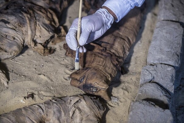 Τάφοι σε αρχαία νεκρόπολη της Αιγύπτου έκρυβαν σπάνιες μούμιες με γάτες και σκαραβαίους