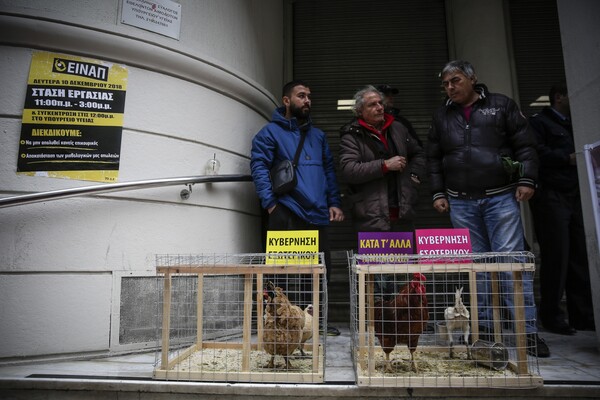 Mε κόκορες και κότες η διαμαρτυρία της ΠΟΕΔΗΝ στο υπουργείο Υγείας