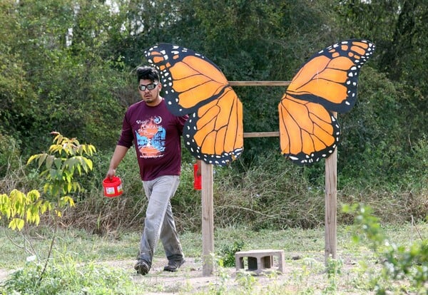 «Θανατική καταδίκη»: Καταφύγιο για πεταλούδες θα κατεδαφιστεί για να χτιστεί το τείχος του Τραμπ στα σύνορα