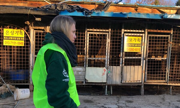 Έκλεισε το μεγαλύτερο σφαγείο σκύλων στη Ν. Κορέα