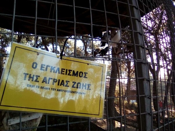 Διαμαρτυρία αναρχικών στον ζωολογικό κήπο Θεσσαλονίκης - Κρέμασαν πανό στα κλουβιά των ζώων