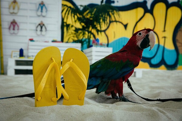 Ταξιδέψαμε στη "Βραζιλία" με τη νέα συλλογή Havaianas