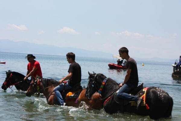 Ο Αγιασμός των Αλόγων - Ένα σπάνιο θέαμα από το έθιμο στο Πήλιο