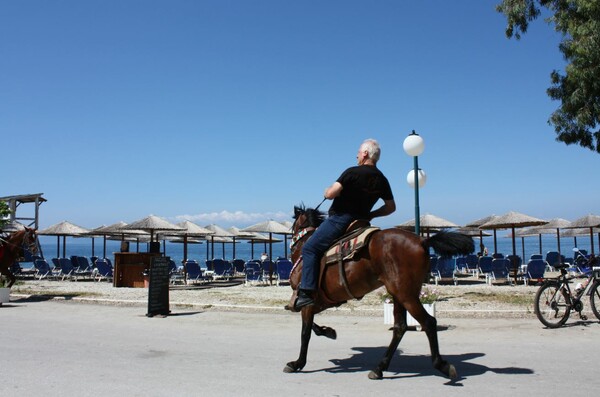 Ο Αγιασμός των Αλόγων - Ένα σπάνιο θέαμα από το έθιμο στο Πήλιο