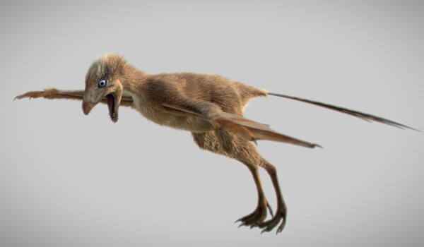 O μικροσκοπικός δεινόσαυρος: Σπάνιο εύρημα στην Κίνα - Το πλάσμα με τα φτερά νυχτερίδας