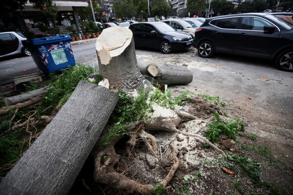 Θυελλώδεις επικίνδυνοι άνεμοι σαρώνουν την Αττική - Εκατοντάδες κλήσεις στη Πυροσβεστική