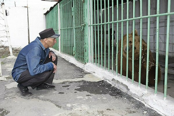 Αρκούδα εκτίει ισόβια σε φυλακή μαζί με βαρυποινίτες - «Καταδικάστηκε» για επίθεση σε δυο ανθρώπους