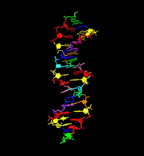Για πρώτη φορά δημιουργήθηκε DNA με 8 «γράμματα» του γενετικού αλφαβήτου