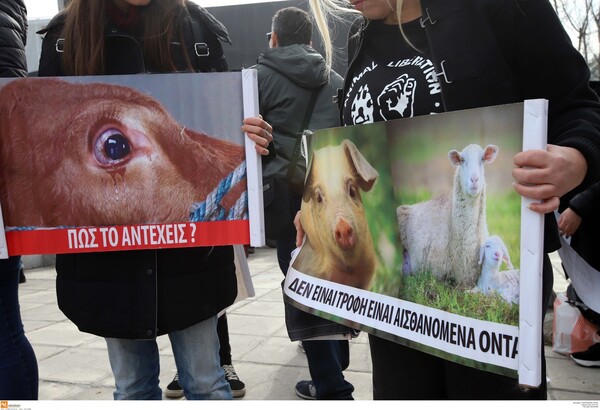 Φιλόζωοι με πλακάτ και συνθήματα κατά της Zootechnia στη Θεσσαλονίκη