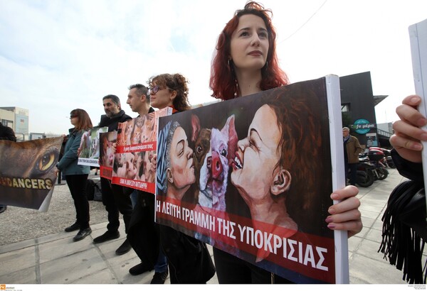 Φιλόζωοι με πλακάτ και συνθήματα κατά της Zootechnia στη Θεσσαλονίκη
