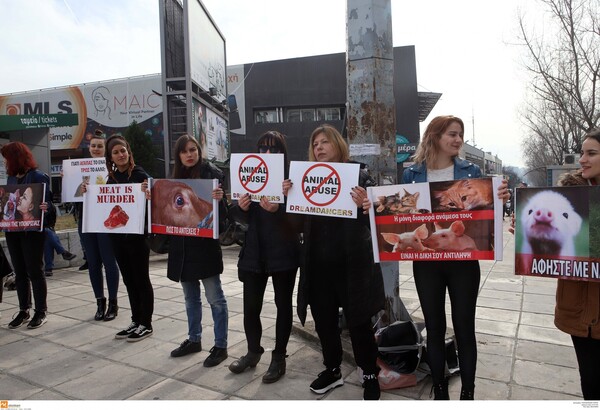 Φιλόζωοι με πλακάτ και συνθήματα κατά της Zootechnia στη Θεσσαλονίκη