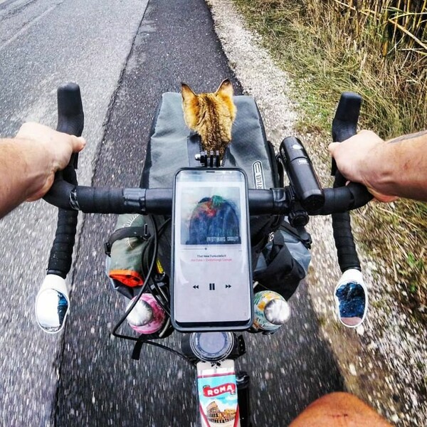 Γυρνούσε τον κόσμο μόνος με ποδήλατο, βρήκε μια γάτα και ταξίδεψαν παντού μαζί