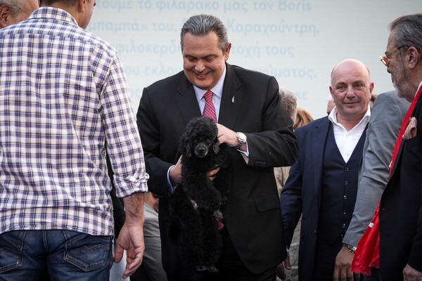 To σποτ των ΑΝΕΛ για τις ευρωεκλογές έχει πρωταγωνιστή έναν σκύλο