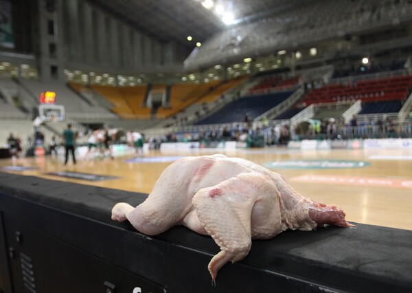 ΟΑΚΑ: Κοτόπουλα στον πάγκο του Ολυμπιακού - Πανό κατά των ερυθρόλευκων