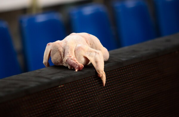 ΟΑΚΑ: Κοτόπουλα στον πάγκο του Ολυμπιακού - Πανό κατά των ερυθρόλευκων