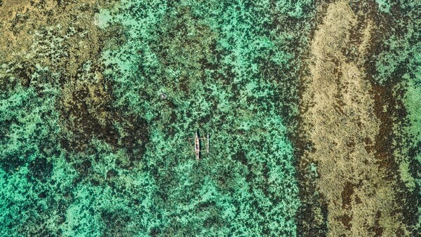 Madagascar trip, Κωνσταντίνος Σοφικίτης