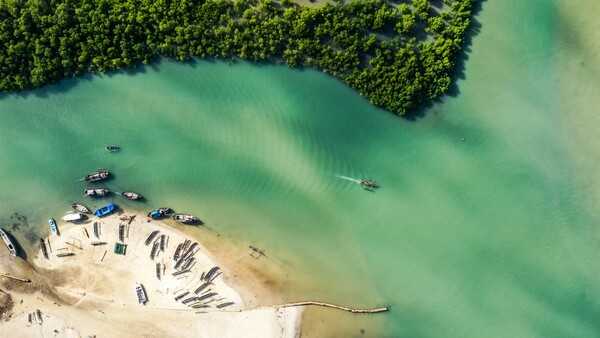 Madagascar trip, Κωνσταντίνος Σοφικίτης