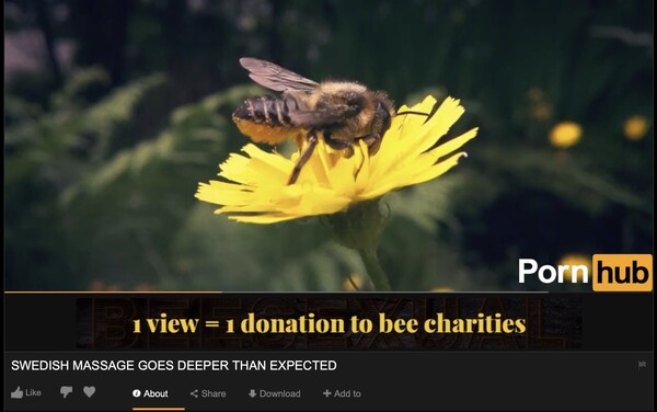 Στο νέο κανάλι του Pornhub οι μέλισσες κάνουν παθιασμένο σεξ με λουλούδια