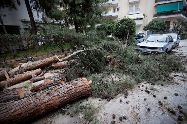 Θυελλώδεις επικίνδυνοι άνεμοι σαρώνουν την Αττική - Εκατοντάδες κλήσεις στη Πυροσβεστική