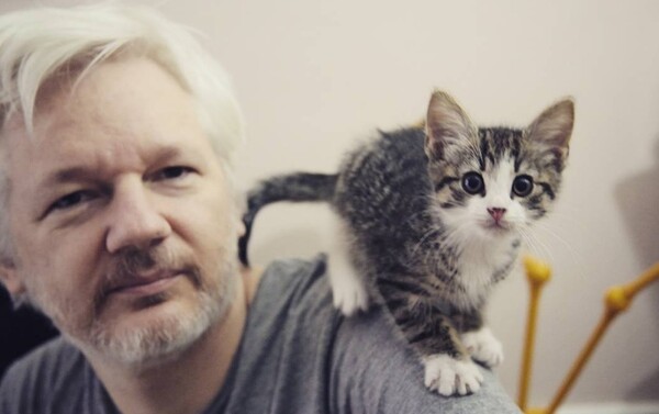 Wikileaks: O γάτος του Ασάνζ είναι ασφαλής