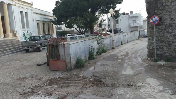 Ρόδος: Φύτεψαν ελιές στις λακκούβες των δρόμων - Έρχονται μπανανιές