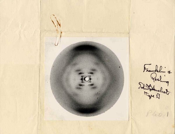 Rosalind Franklin: Η «σβησμένη» υπογραφή πίσω από δύο Νόμπελ
