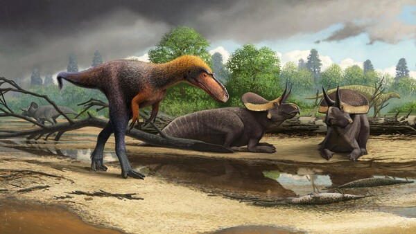 Ανακαλύφθηκε νέο, άγνωστο είδος τυραννόσαυρου - Ήταν πρόγονος του T-Rex