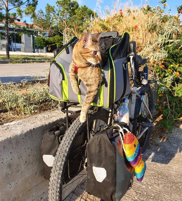 Κάνοντας τον γύρο του κόσμου με ποδήλατο και μια γάτα στην πλάτη
