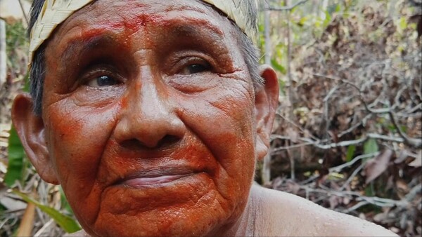 «Θα δώσουμε το αίμα μας για το δάσος» - Η φυλή αυτοχθόνων του Αμαζονίου θρηνεί για την καταστροφή